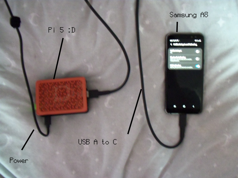 phsicalsetup